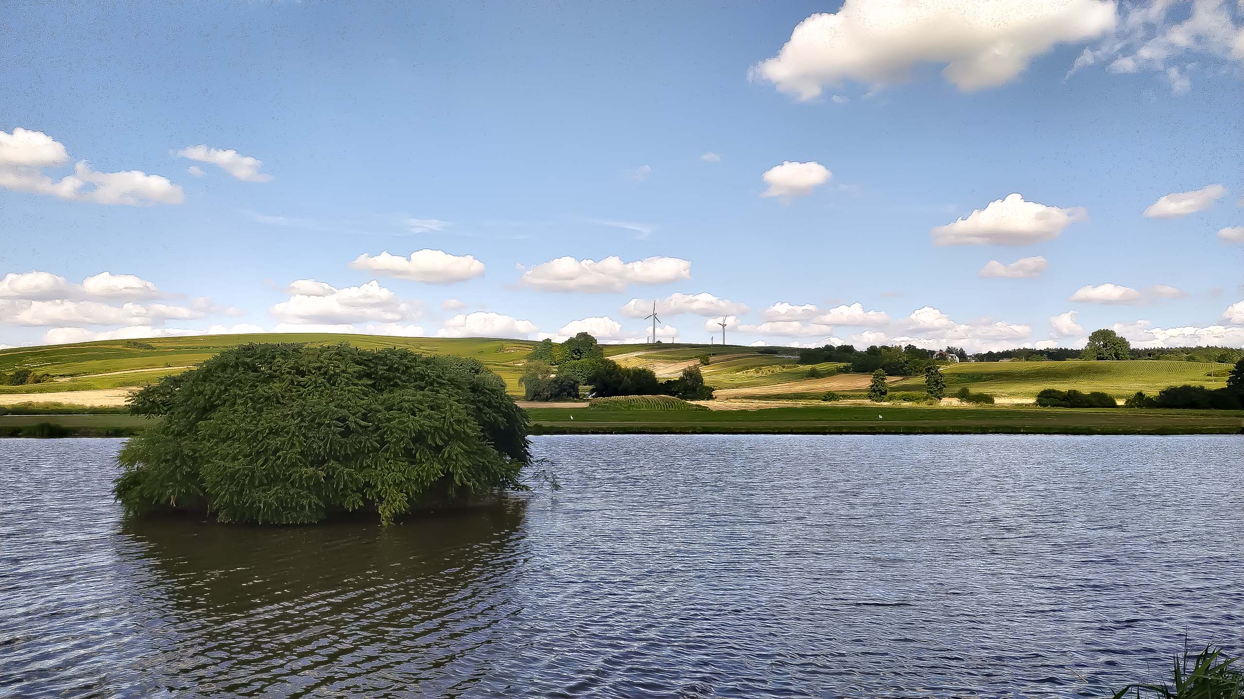 IMG 20200801 154941 kopia